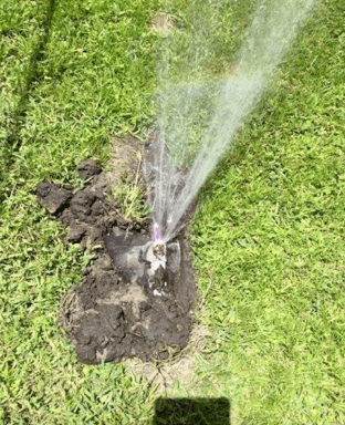 Finding A Hidden Water Leak in Your Gilbert Yard
